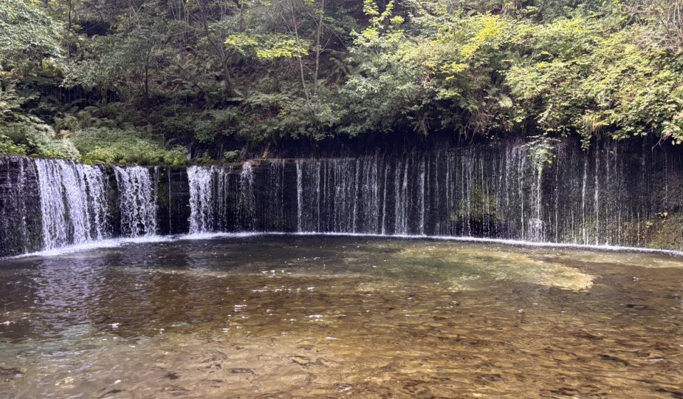 暑さを逃れて軽井沢へ🚗爽やかスポットを巡るリフレッシュ旅